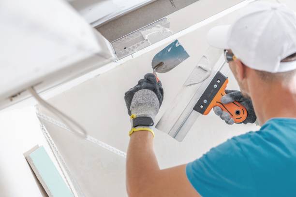 Best Water-Damaged Drywall Repair  in USA